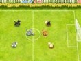 Minik Futbolcular